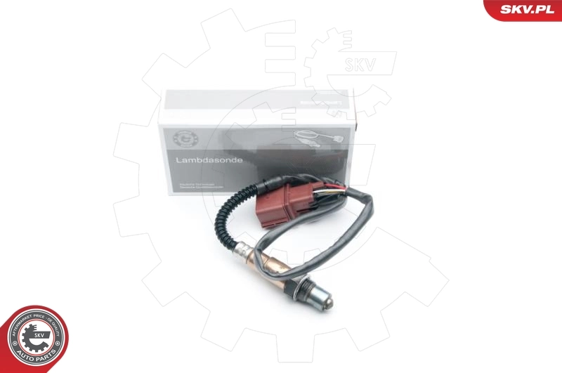 Oxygen Sensor